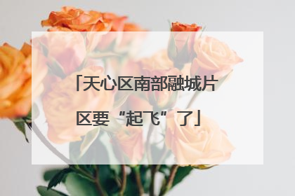 天心区南部融城片区要“起飞”了